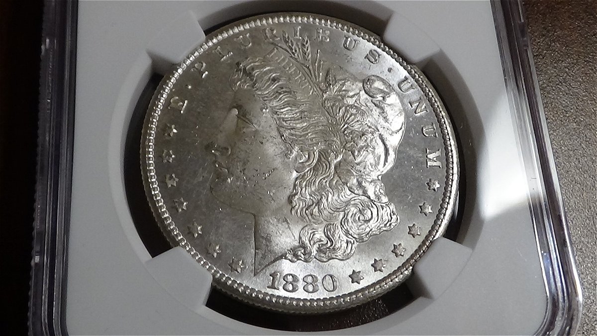 You-V.s.-NGC-1880-S-Morgan-Dollar